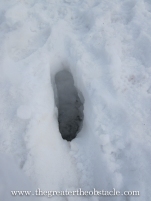 Foot print in snow.